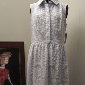 NWT Plus Size Blue White Sandra Darren Dress SZ 14